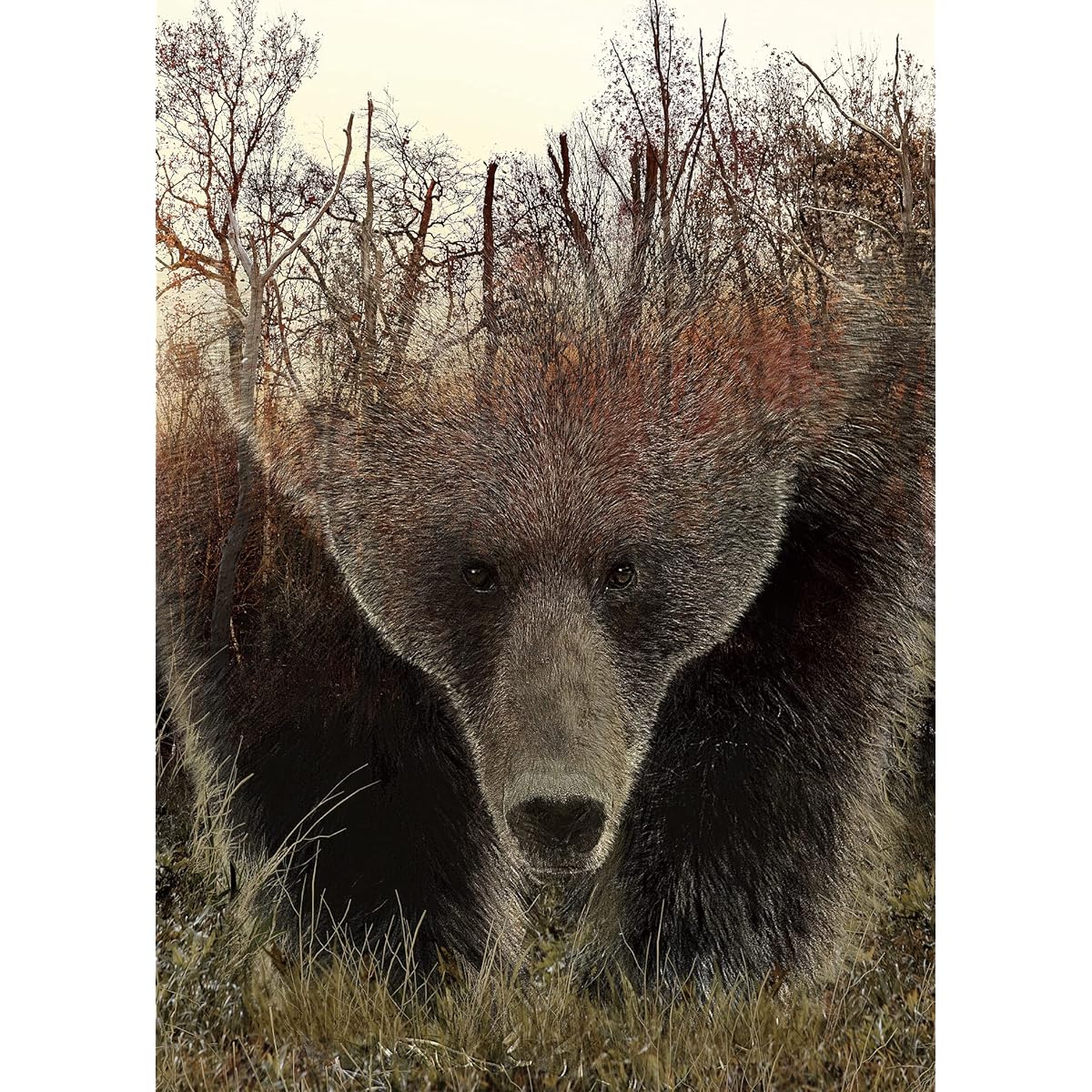 Animal Bear Jigsaw Puzzle for Adults 1000 Pieces Difficult Hard Impossible Adult Nature Hunting Puzzle Unique Hunter Gift