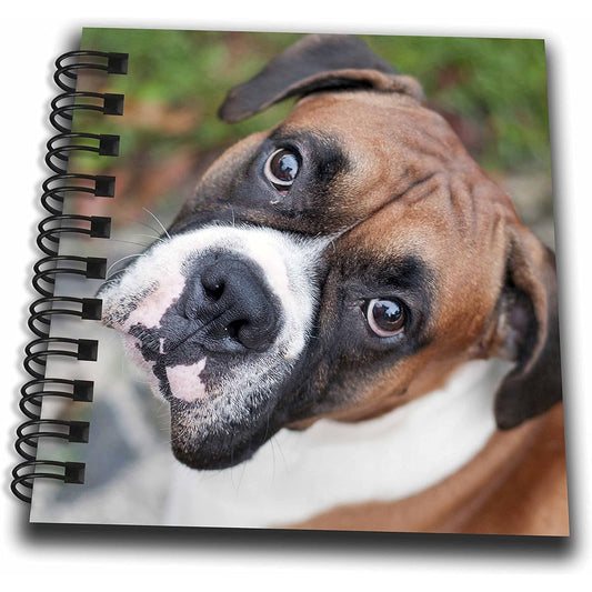 3dRose db_155019_3 Cute Boxer Dog Portrait Canine Mini Notepad 4" x 4"