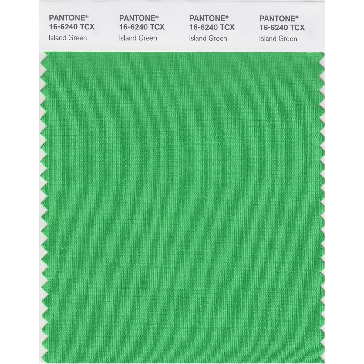 (Island Green) - PANTONE SMART 16-6240X Colour Swatch Card, Island Green