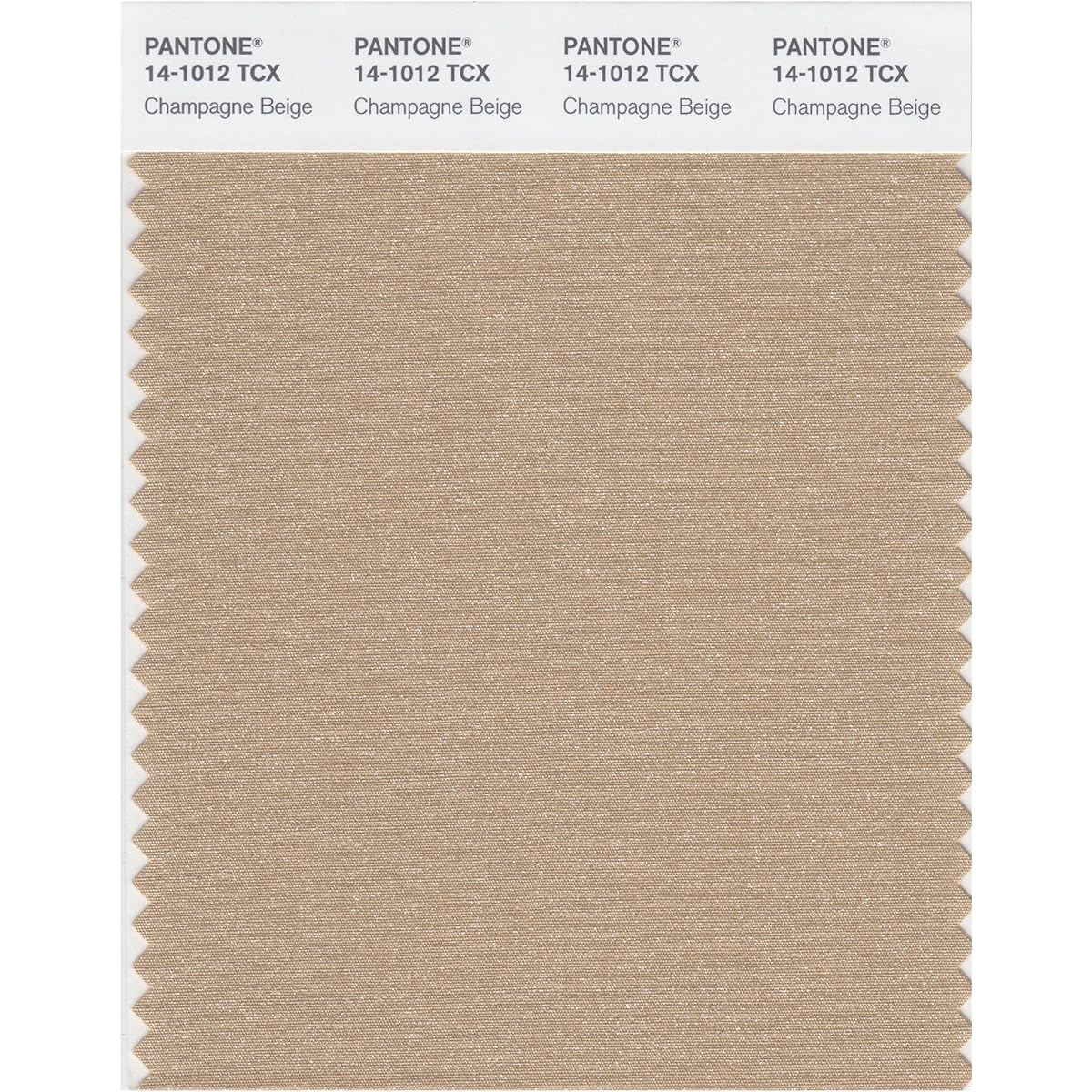 PANTONE SMART 14-1012X Color Swatch Card, Champagne Beige by Pantone