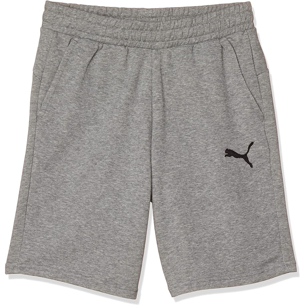 [PUMA] teamGOAL23 Casuals Men's Fleece Sweat Shorts