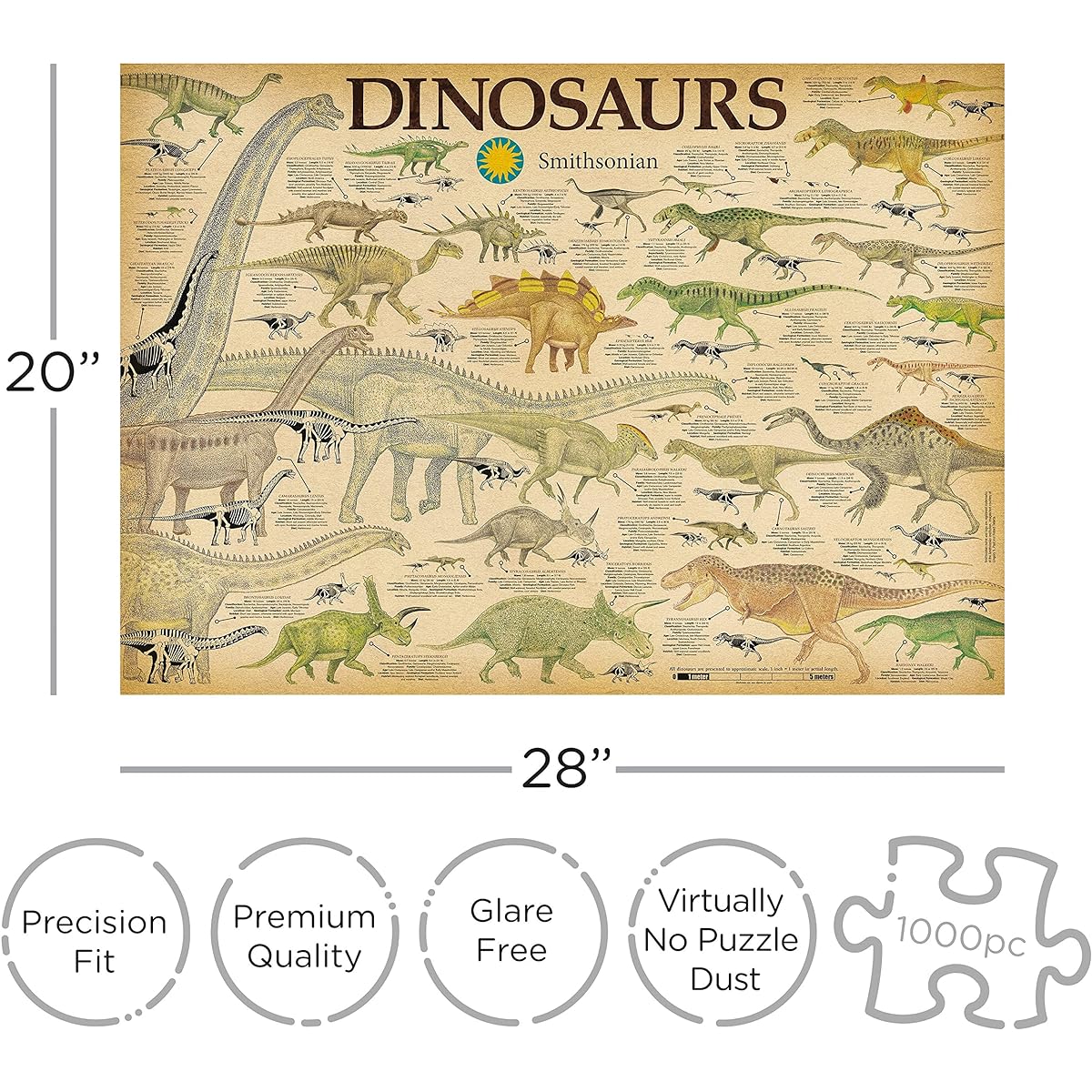 Aquarius Smithsonian Dinosaur Puzzle (1000 Piece Jigsaw Puzzle) - Glare Free - Precision Fit - Officially Licensed Smithsonian Merchandise & Collectibles - 20 x 28 Inch