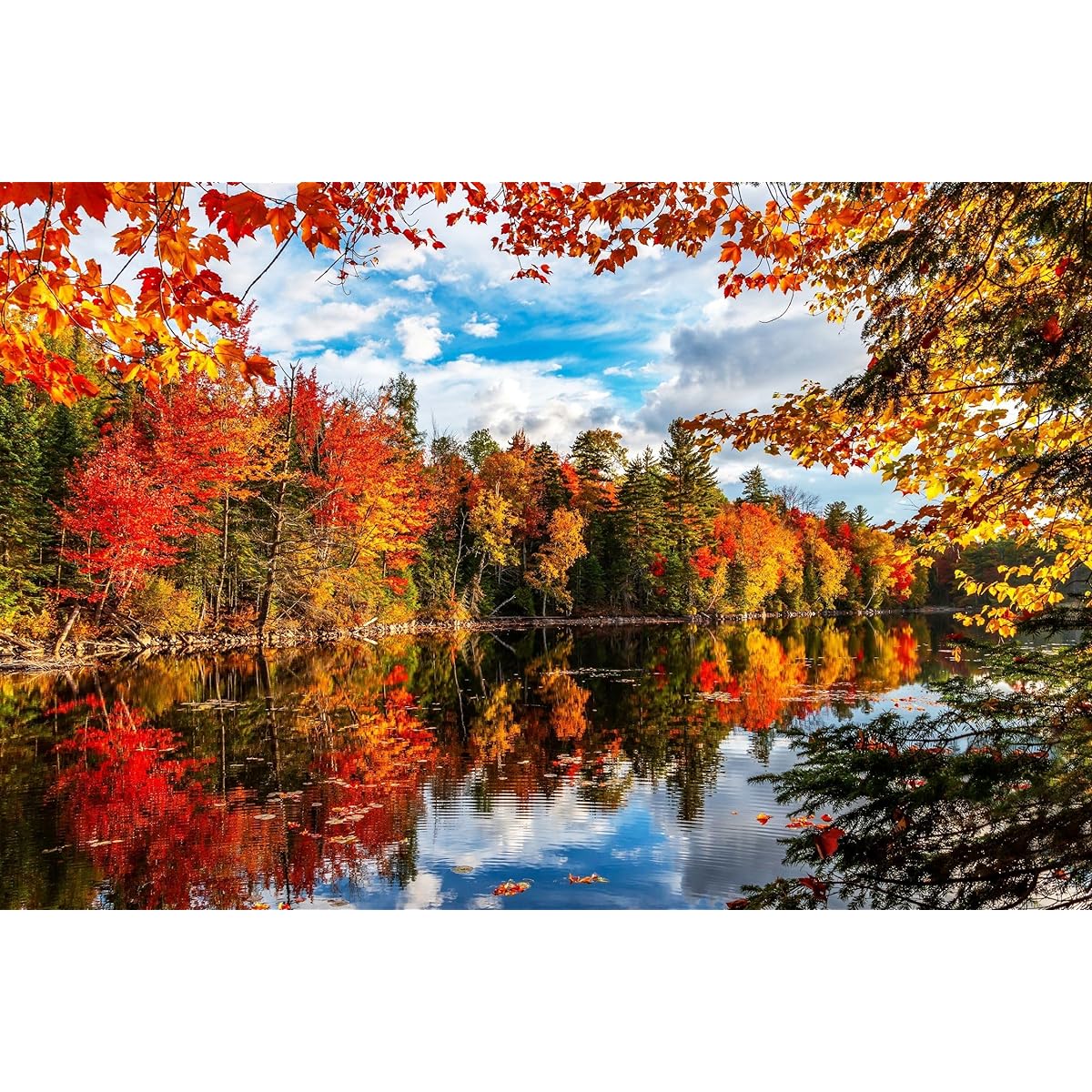 Springbok Autumn Lake Jigsaw Puzzle 500 Pieces for Adults Made in the USA