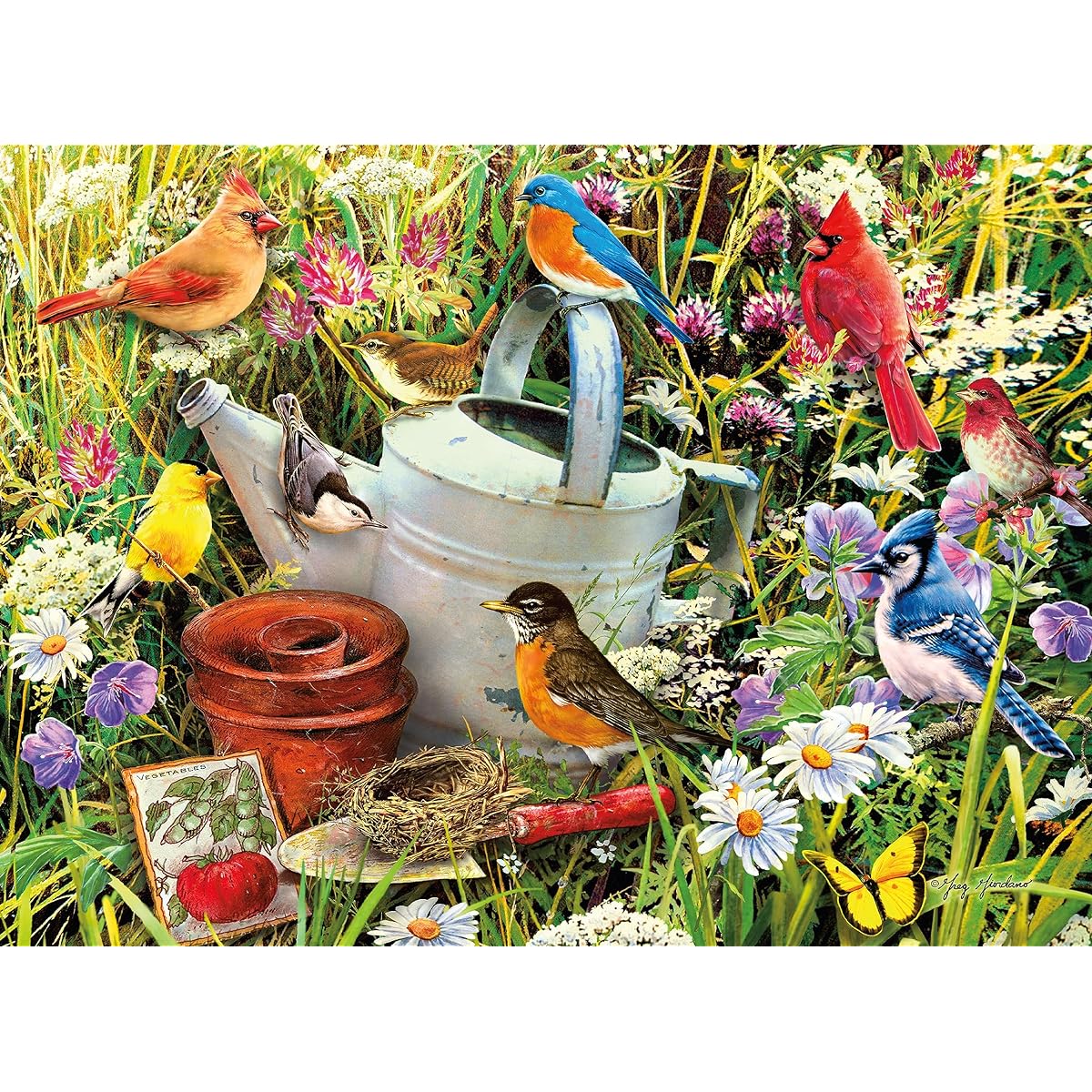 Ceaco - Space Saver - Garden Birds - 300 Piece Jigsaw Puzzle