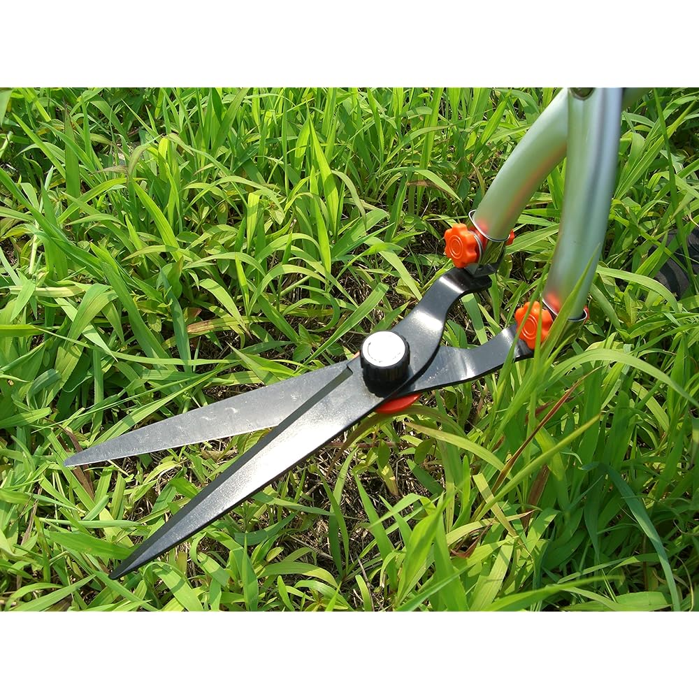 Hoshino Co., Ltd. Hoshino Grass cutting scissors for standing work