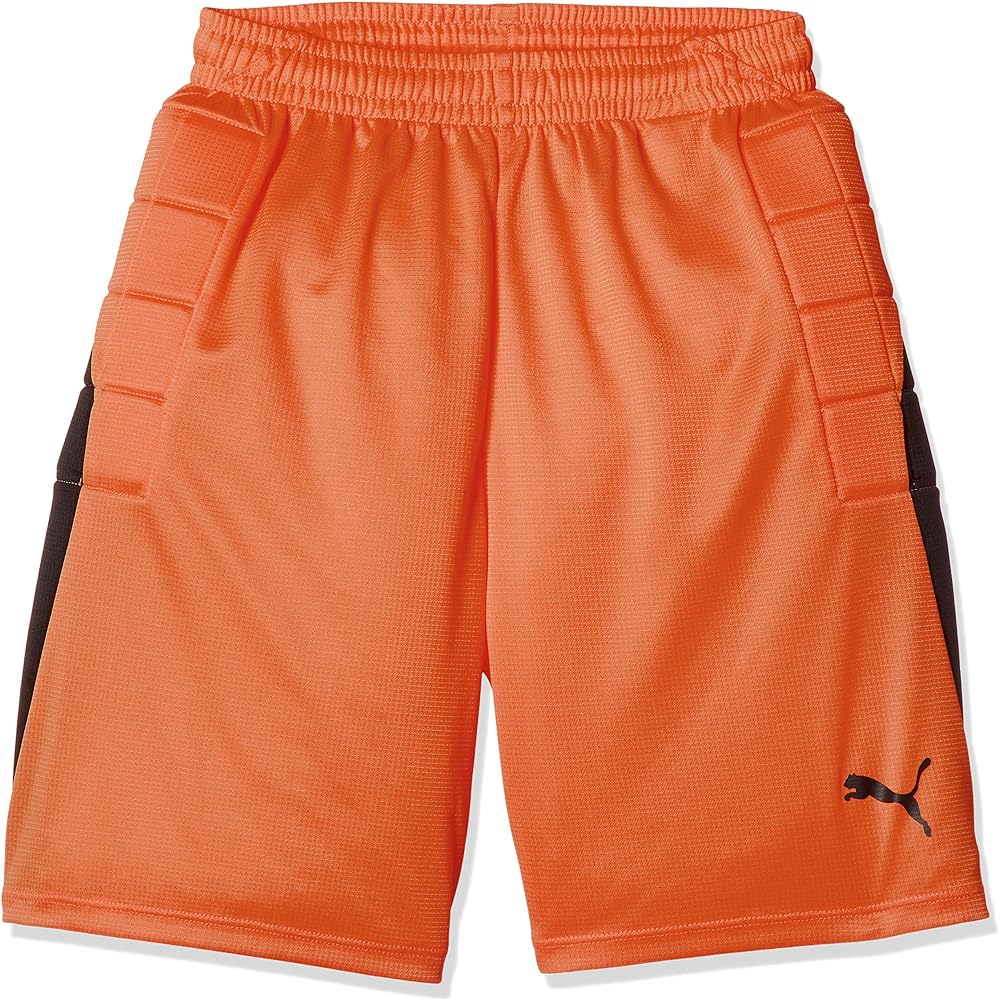 PUMA 729968 Boys Soccer Absorbent Quick Drying Shorts Pad