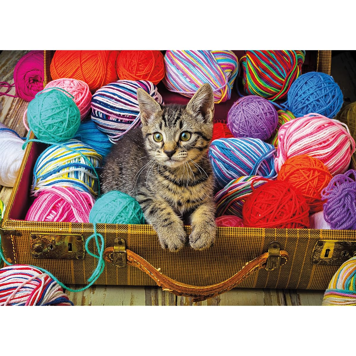 Ceaco - Garry Gay - Curious Kitten - 1000 Piece Jigsaw Puzzle