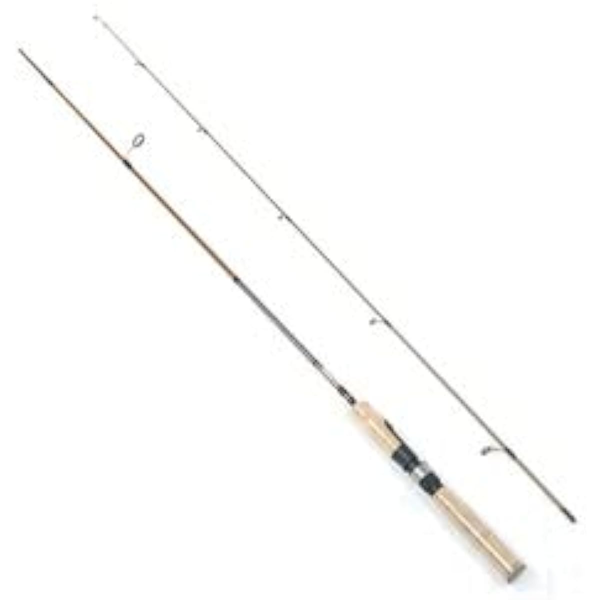 Shares SOLFIESTA Rod FREAD 56F 56F