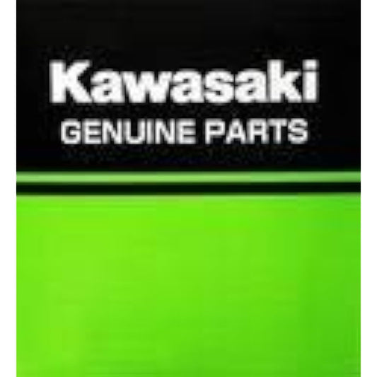 Kawasaki 2024 ELIMINATOR EL400 ARFNN Element 110130767 5037