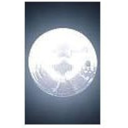 M&H Matsushima PH-7 6V25/25W (S2・GH) 1 1GH Light Bulb