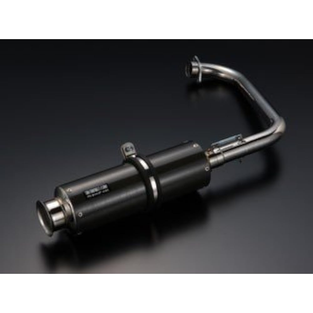 Beams SS300 Full Exhaust Carbon Muffler