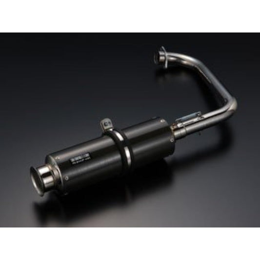 Beams SS300 Full Exhaust Carbon Muffler