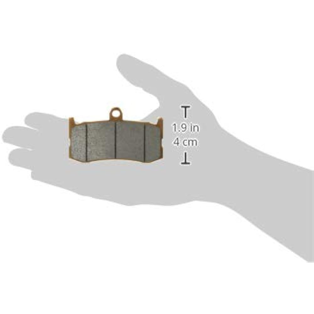 ZCOO Motorcycle Brake Pad Ceramic Sintered TRIUMPH Daytona 675 (09-10) NISSIN Radial Mount etc. ZRM-N008