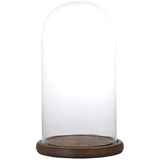 Dalton Display Supplies Glass Dome S Size GLASS DOME SG1945-1WS