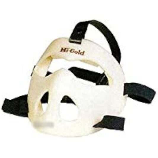 HI-GOLD Safety Mask General Use SM-10