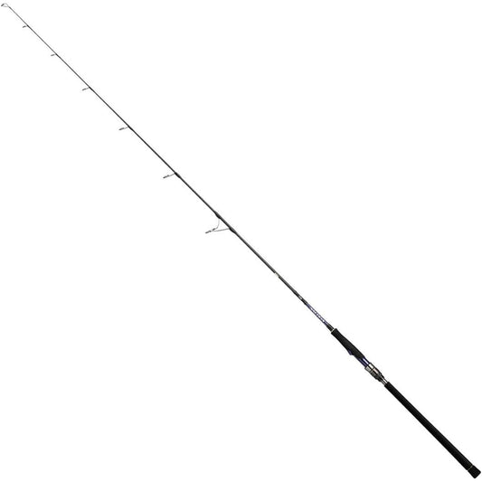 DAIWA Jigging Rod Saltiga R HI/LO/MD/TG
