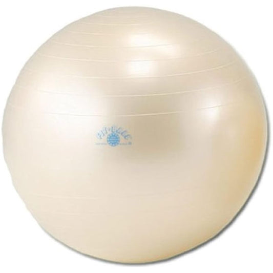 DANNO Balance Ball Gymnic Fit Ball