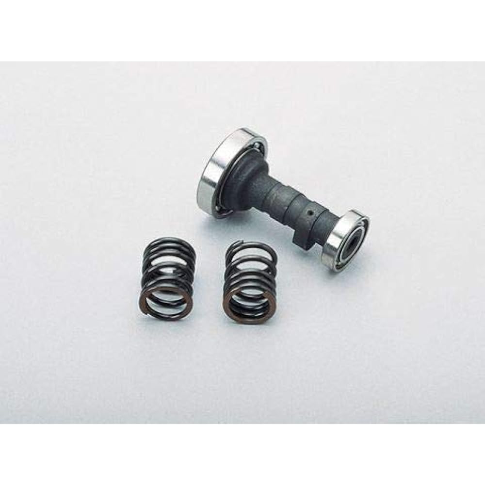 Daytona Normal Head & 75cc Big Bore Limited Limiter Cut Cam with Valve Spring 98550