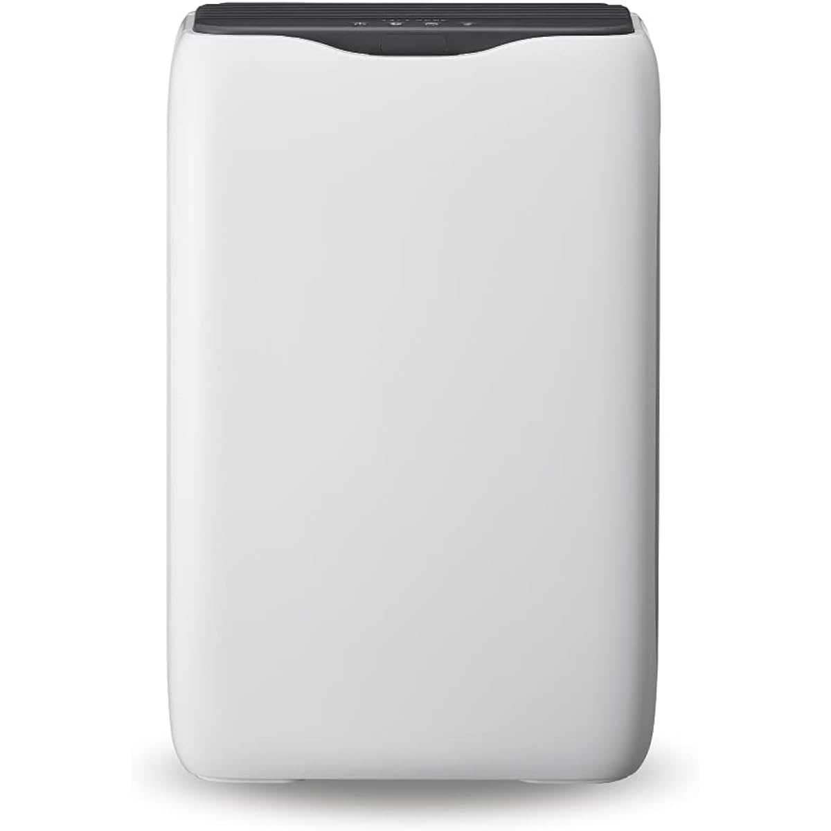 Doshisha Air Purifier Equipped with Ionizer Bacteria Virus Mold Odor Dust Allergy Pollen Countermeasure White Pieria