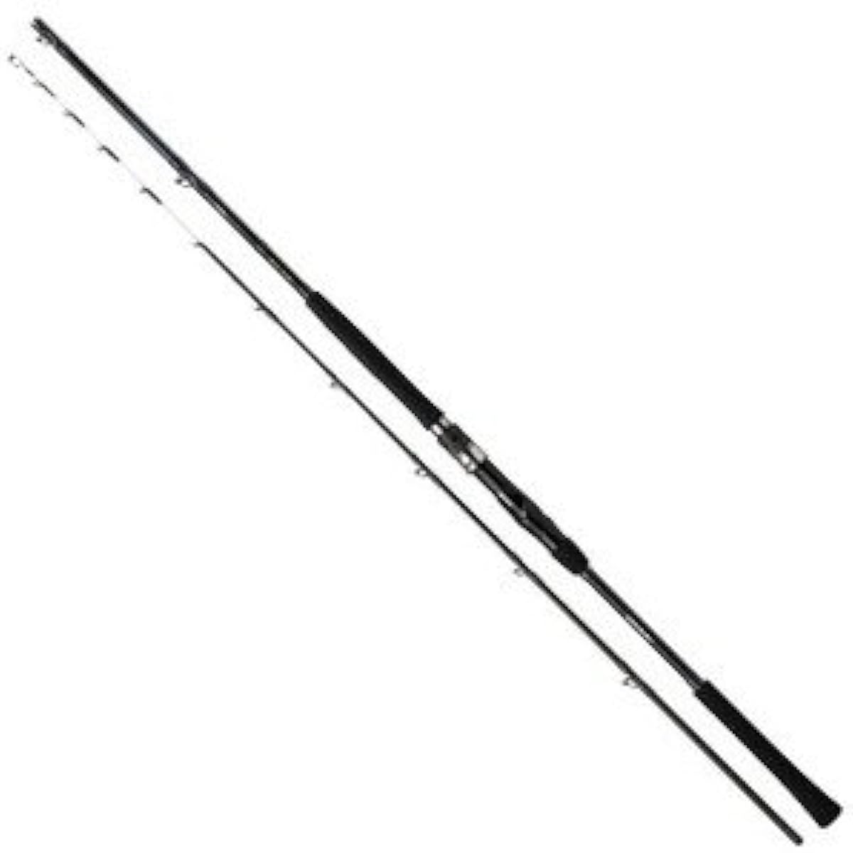 DAIWA Boat Rod Dio TSG 100-170 Fishing Rod