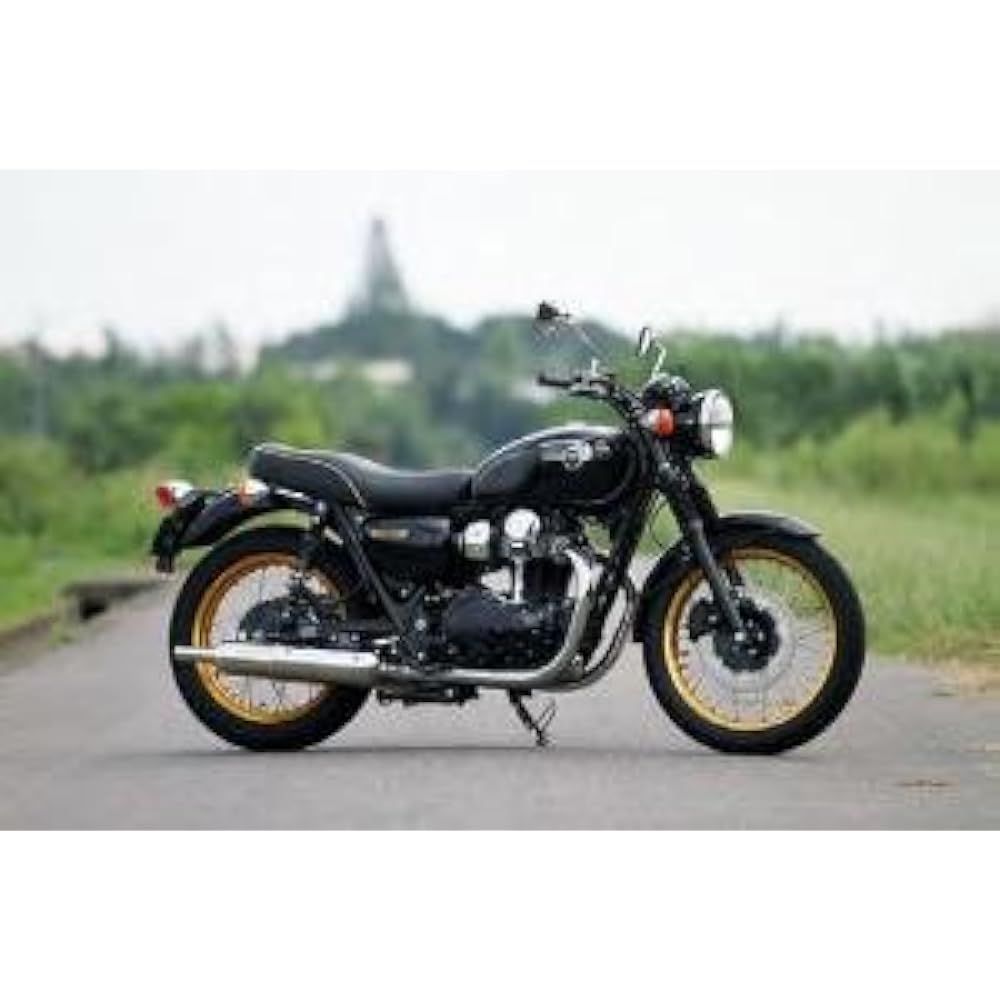 R's Gear Full Exhaust Muffler Wyvern Classic Twin Stainless Steel (Heat Guard Compatible) W800 WK20-02HG