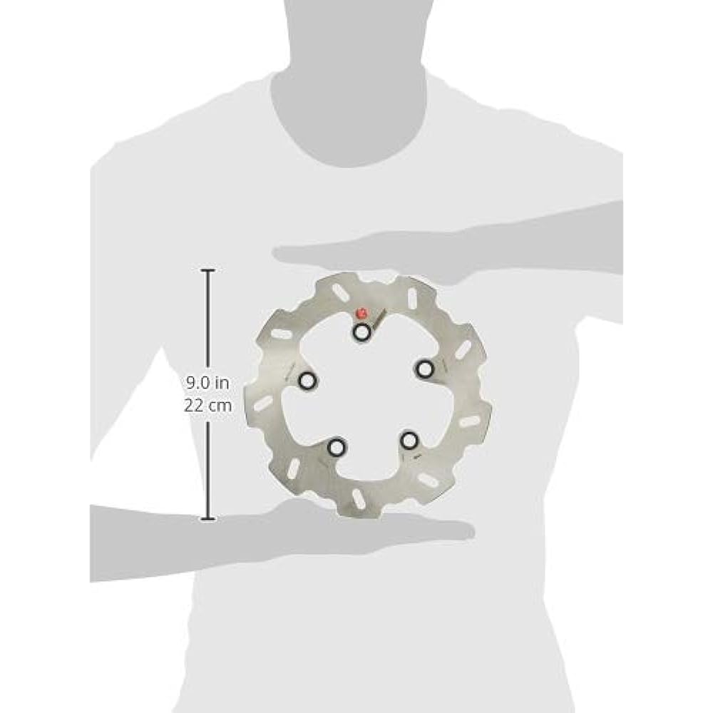 BRAKING SZ22RID φ220 disc rotor made to order 76466