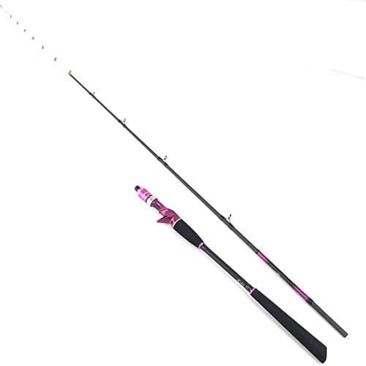 Gokuspe Gokuevolution Tenya Hairtail Bungo Special 165 Total length: 167cm
