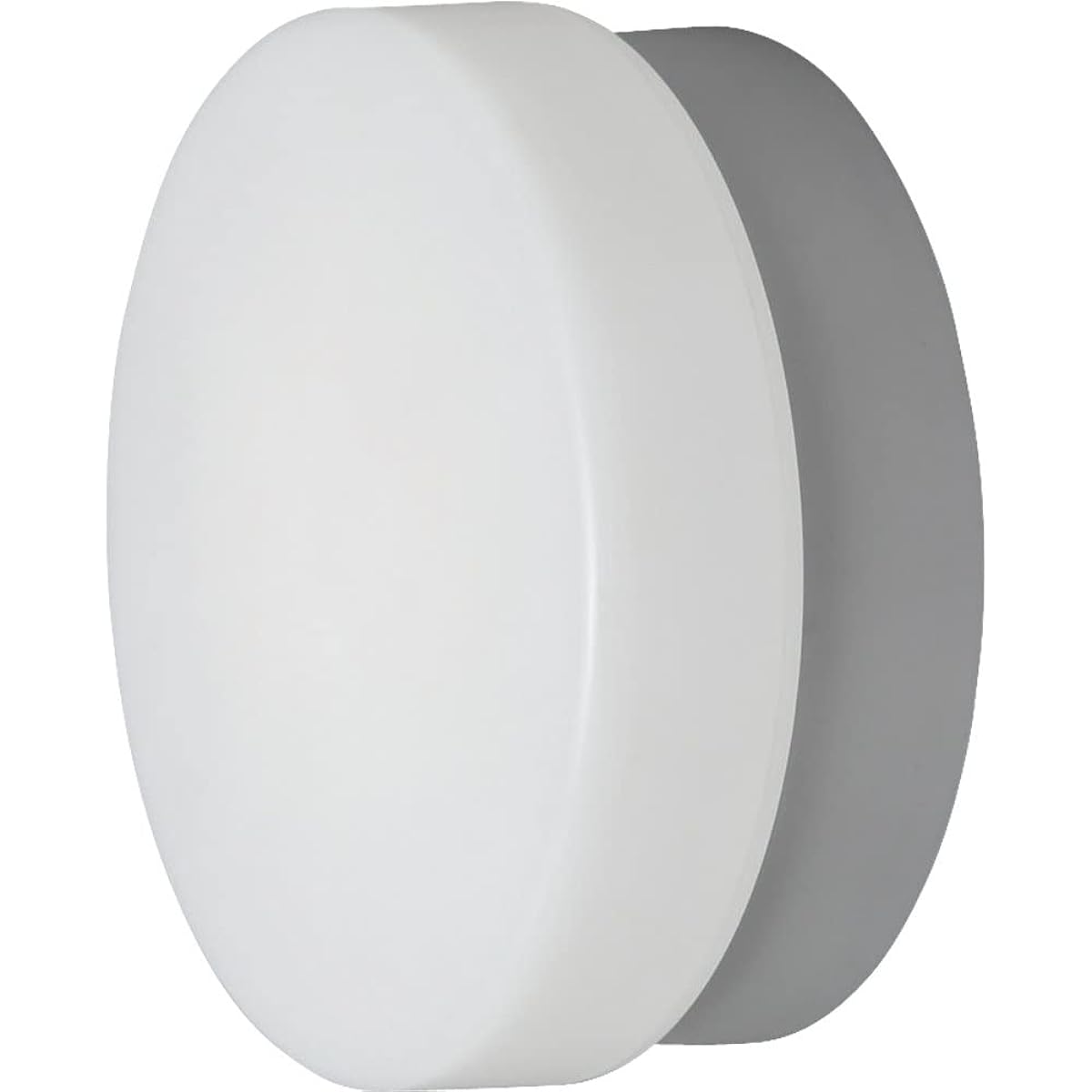 Iris Ohyama LED porch/bathroom light round daylight white 1020lm CL10N-CIPLS-BS