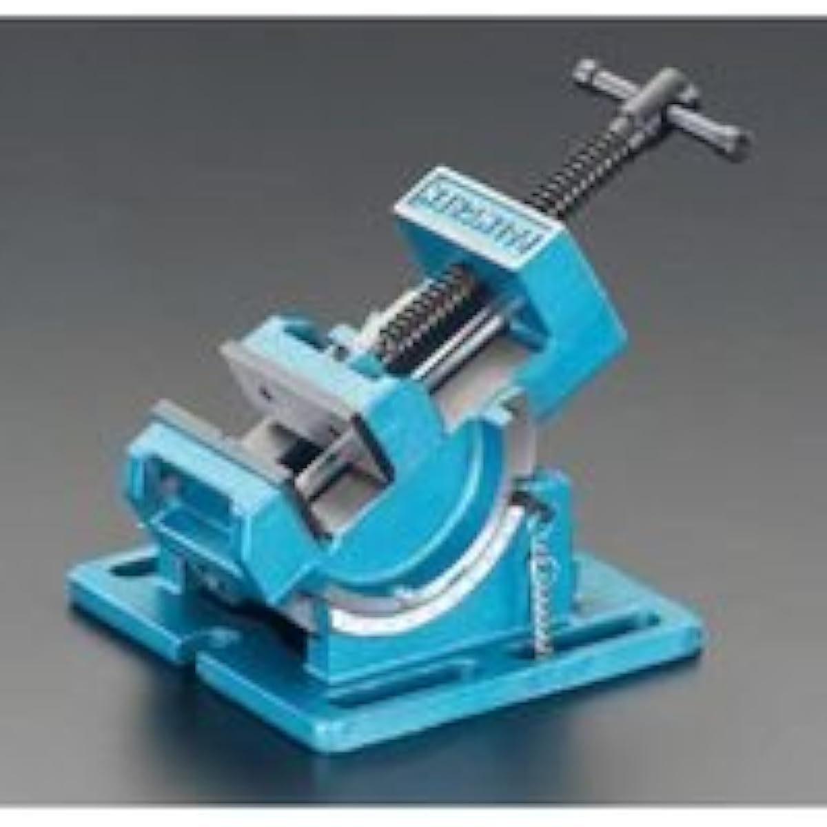 Esco 100mm angle vise (semicircular) EA525DF-2
