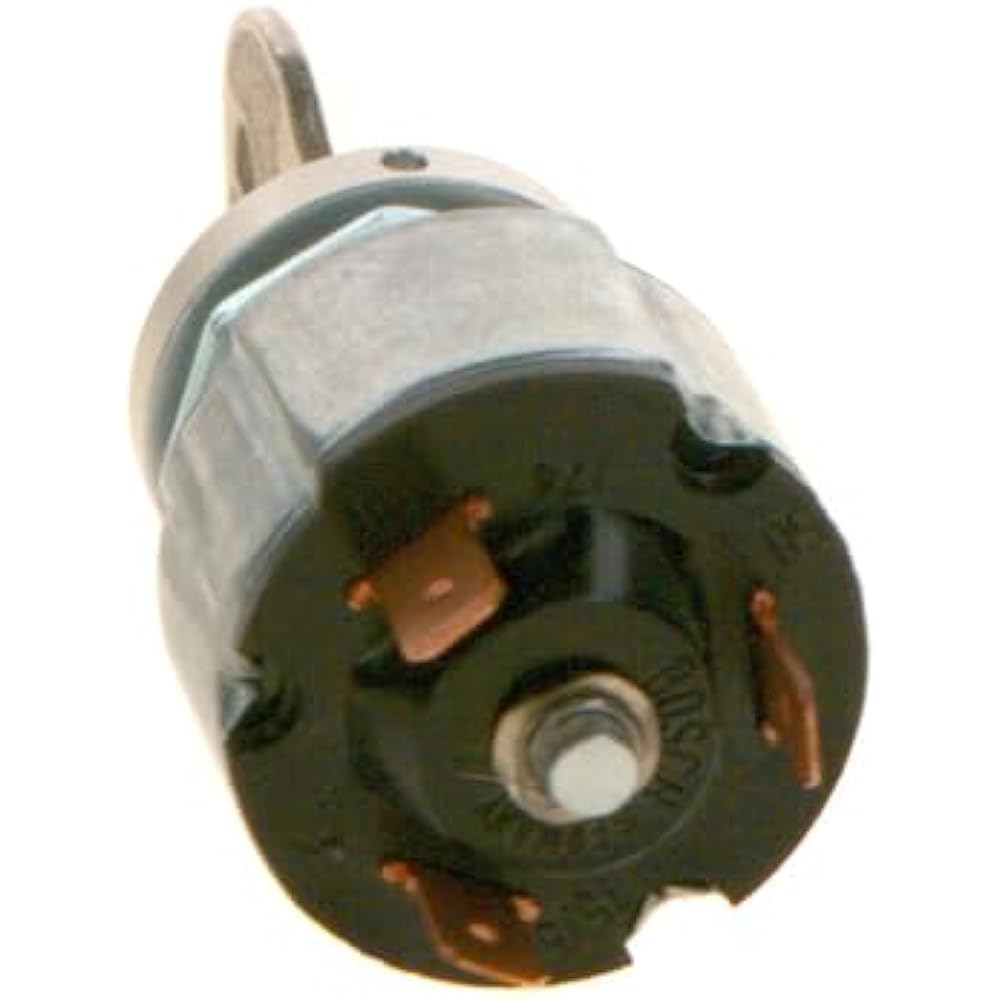 Bosch Spark Plugs 342311007