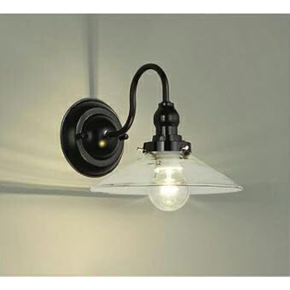 Daiko Electric DAIKO LED Bracket Light with Lamp, LED Bulb, Clear, 5.4W (E26), Light Bulb Color, 2700K, Electrical Work Required, Black LZK-91228YT