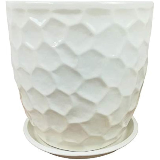 Mule Mill Planter Santa Cruz Stole White L S027TWh