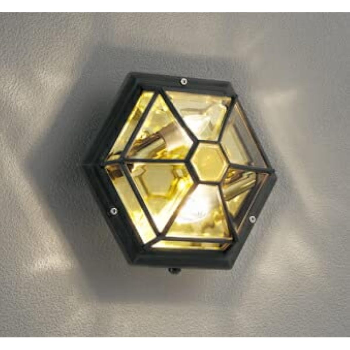 Orderic LED Porch Light Bulb Separate Packaging OG254025LCR