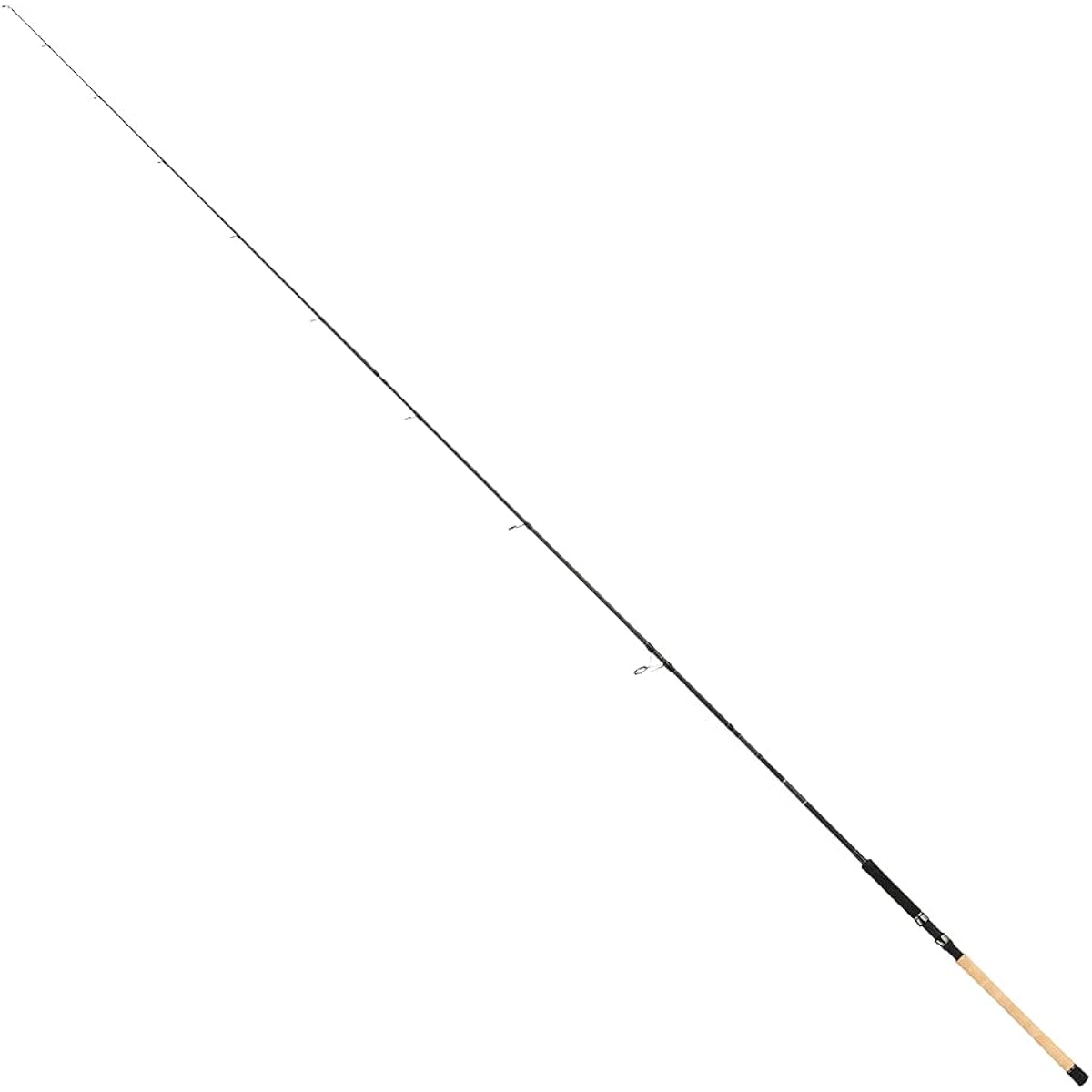 Tailwalk Rod KEISON GINSEI PLUS