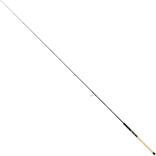 Tailwalk Rod KEISON GINSEI PLUS