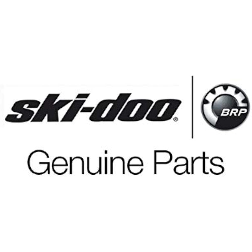 Sea-Doo OEM、860201974-1。