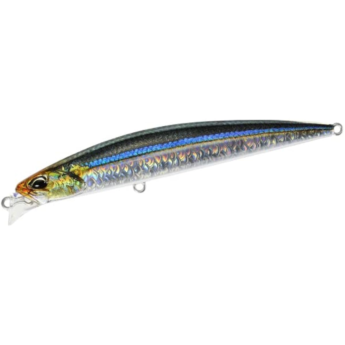 DUO Beach Walker Axion Slim Anchovy Sardine CYA0582
