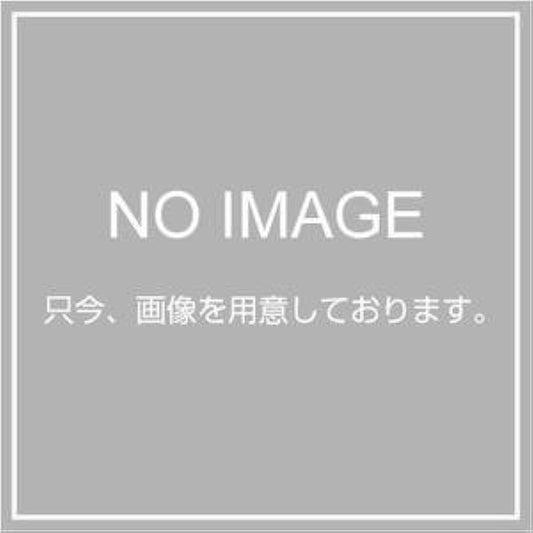 Shinkyowa BL collection mailbox SA type model SA-4 SK-104S