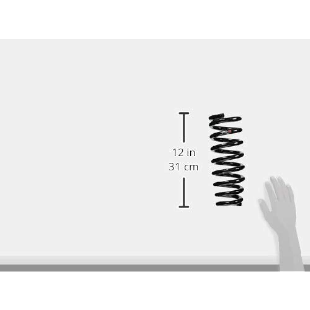 RS-R Down suspension RS★R DOWN Elysion RR2 [Front only] H731WF