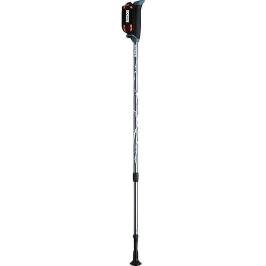 Hatachi Kogyo DFP Progressive Zoom Nordic Walk Pole Gunmetal WH1120-05