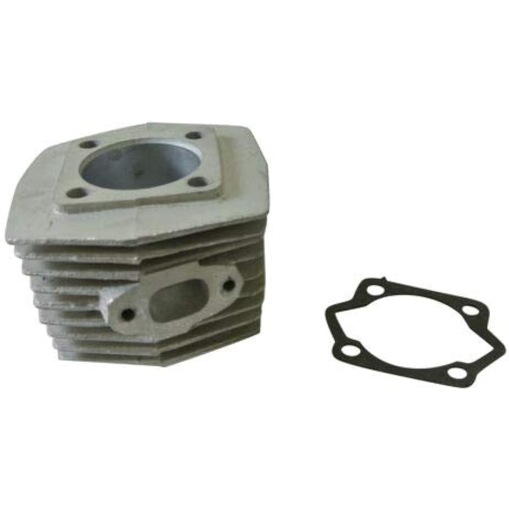 Diorid valve & cylinder kit 48cc 66CC 80cc for gasoline motor bike
