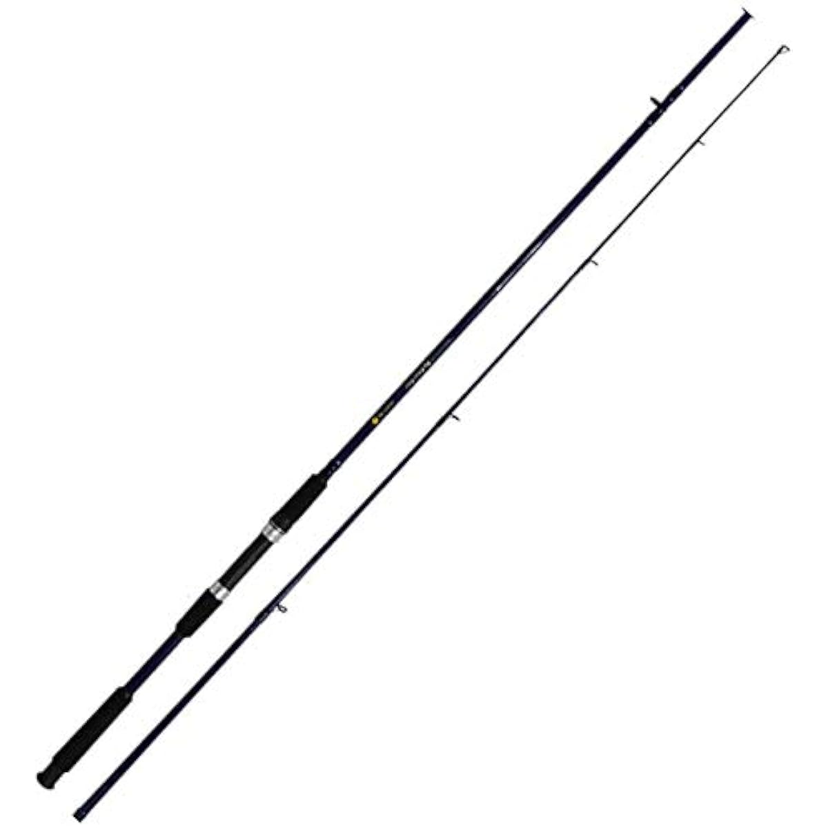 Basic Spinning Sea Bass For Beginners Sea Bass Rod Big Silver Fighter 8.0f [basic-042130]