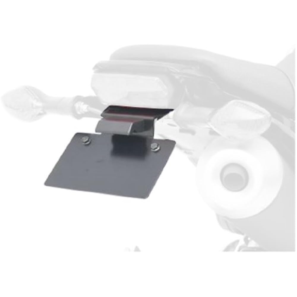 DUGOUT fender removal kit black LED number light included (reflector sold separately) [GROM('13)] 1151080