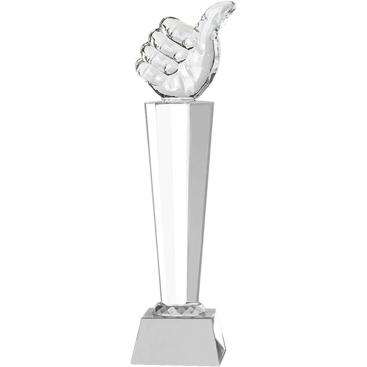 ENN LLC Trophy Crystal Glass Like Mark Award Winner Prize Event Prop