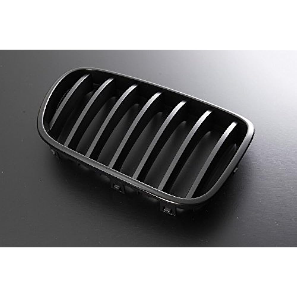 Import Kidney Grill BMW X3 F25 11-13 Early Matte Black