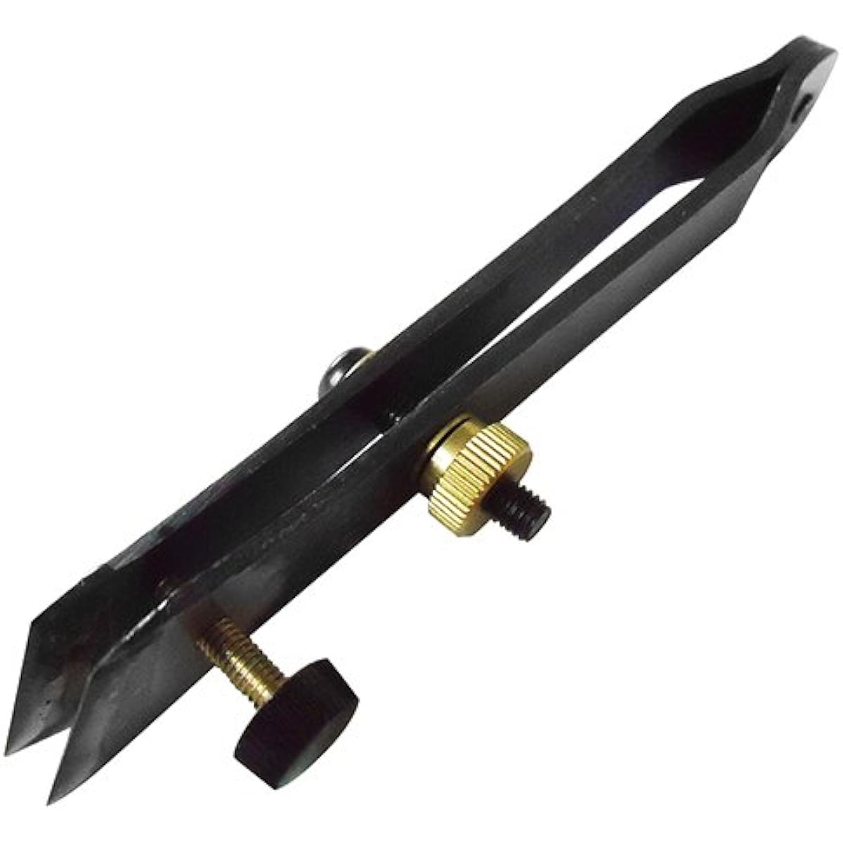 Tsunesaburo Nicho Shirohiki