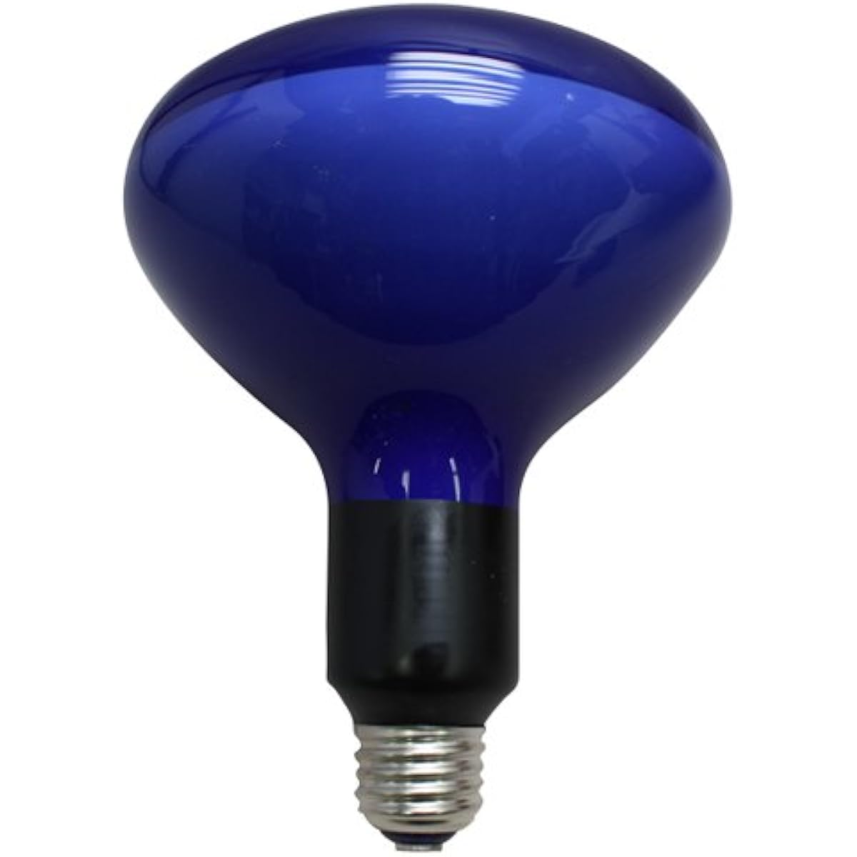 Iwasaki Photo Lighting Eye Lamp PRF500WD Diffused Day
