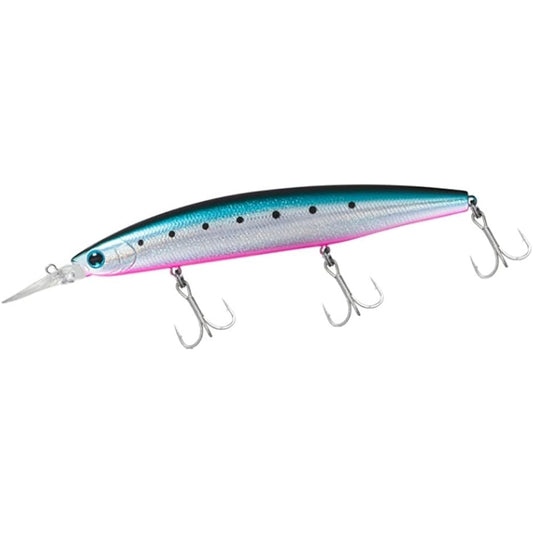DAIWA Shoreline Shiner Z Set Upper 145S-DR