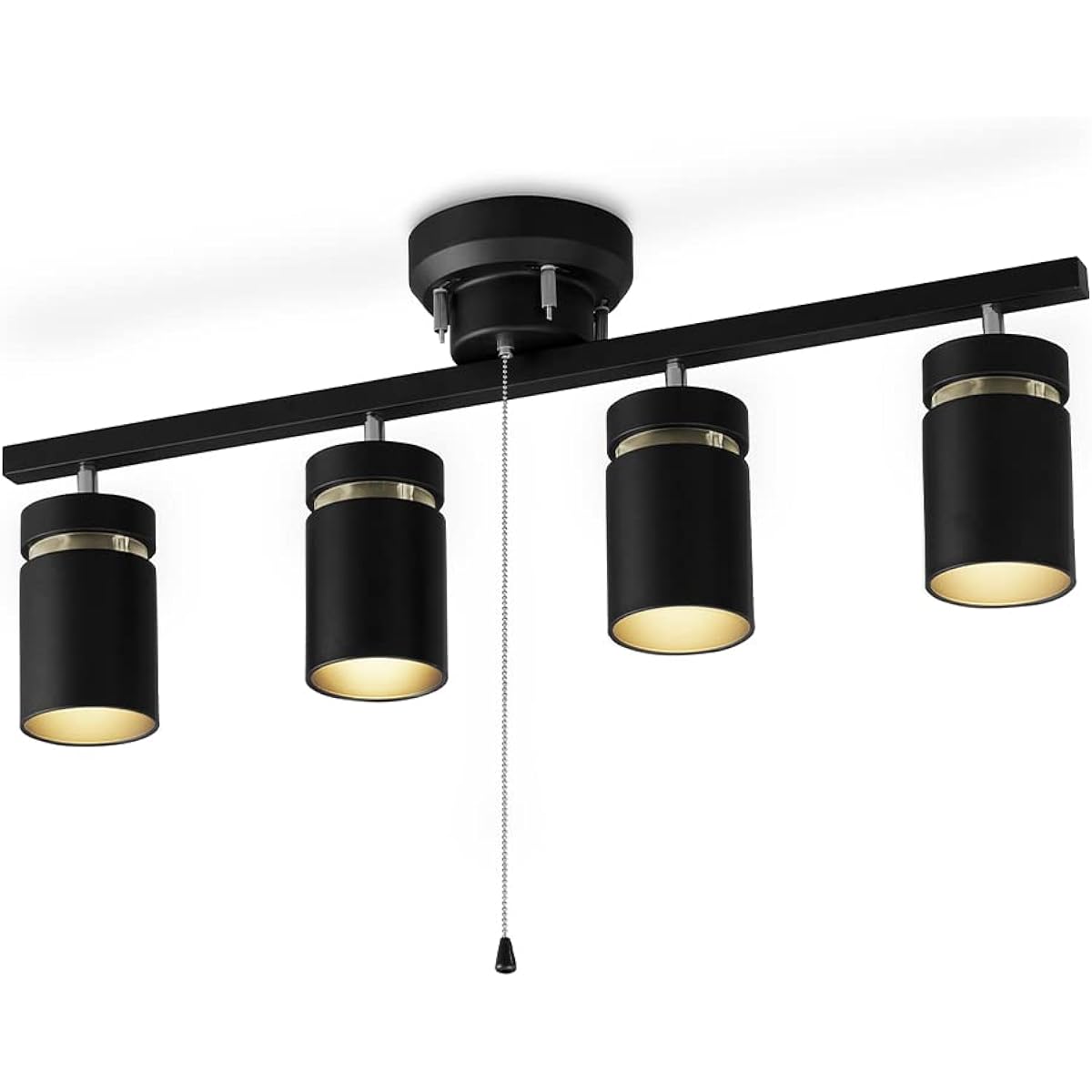 Iris Ohyama LED Ceiling 4 Lights Ceiling Light CE4LA-22SS-MB Matte Black