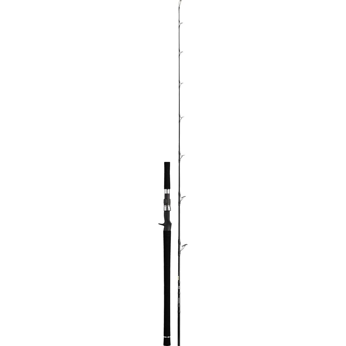 DAIWA jigging rod/casting rod VADEL various